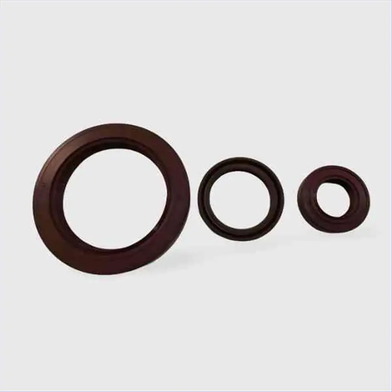 Paraolio VITON 30X50X12 TC