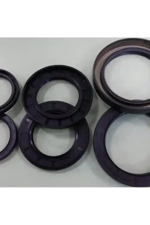 Paraolio NBR 38,1x63,5x12,7 SC
