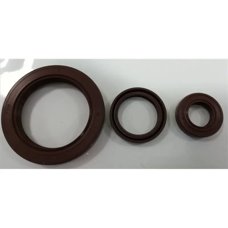 Paraolio VITON 135x165x12 A
