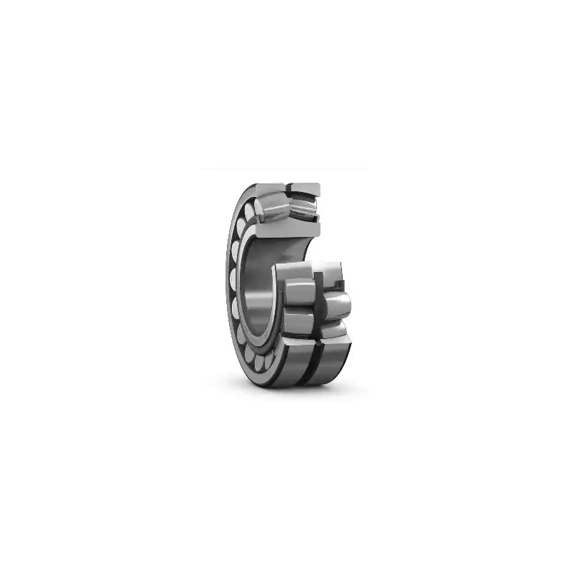 22222 E/C4 SKF 110x200x53