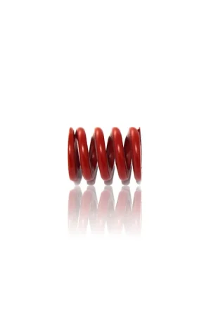 ...Molla per stampi ROSSA R205305 ISO 10243 H120A