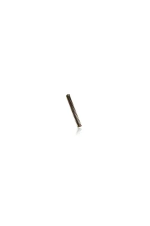 MOLLA COMPRESSIONE INOX L1MT D29070