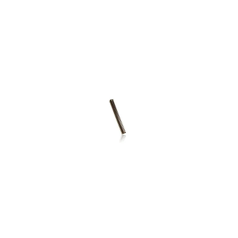 MOLLA COMPRESSIONE INOX L1MT D29070